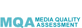 Media Quality Assessment